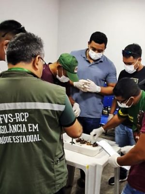 Até esta quinta-feira (23), técnicos de saúde de seis municípios do Alto Solimões participam, em Tabatinga, de uma capacitação sobre manejo de morcegos